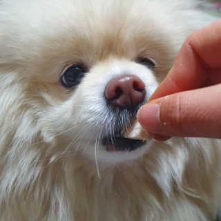 치리짱님이 올린 리뷰 사진 2