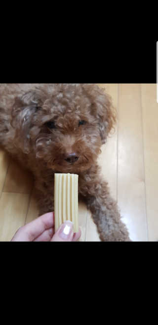 제이드님이 올린 리뷰 사진 1