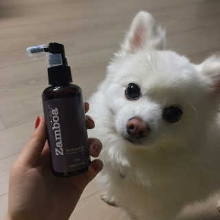 0ee님이 올린 리뷰 사진 2
