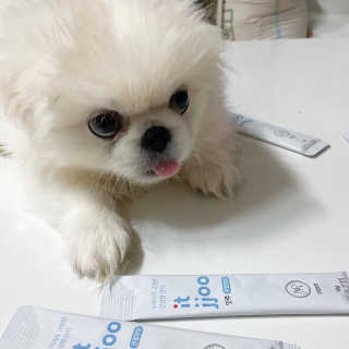 림이님이 올린 리뷰 사진 2
