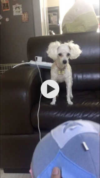 베이글녀우니님이 올린 리뷰 사진 1