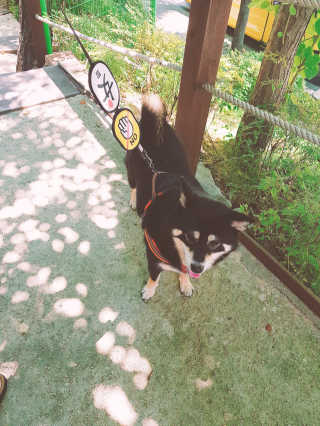 포장마차님이 올린 리뷰 사진 1