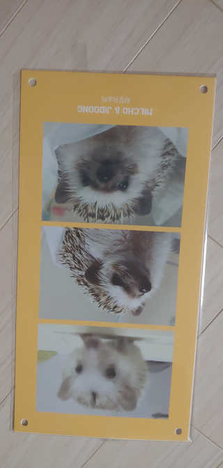 ㅎㅈㅎㅈ님이 올린 리뷰 사진 3