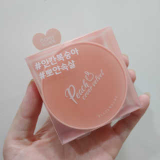 [블랙루즈] 피치 커버 벨벳 쿠션 2종 중 택1 — 2점을 준 리뷰어가 2019년 10월 올린 사용 사진