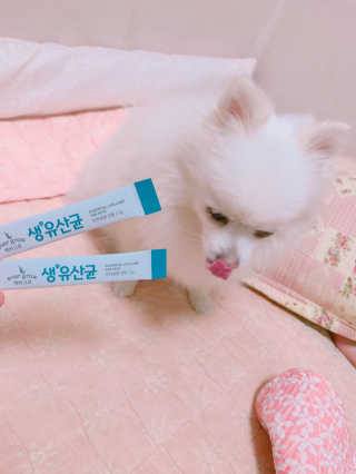[빙그레] 에버그로 생유산균 1봉（10포입）+펫밀크2팩 — 5점을 준 리뷰어가 2019년 5월 올린 사용 사진