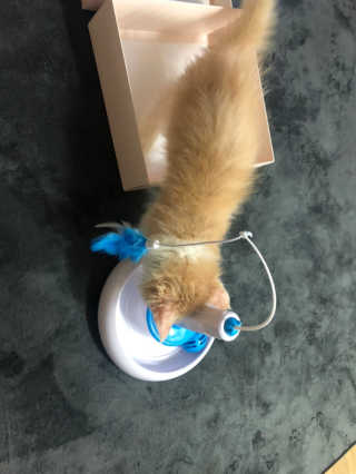 몽숭꾸님이 올린 리뷰 사진 1