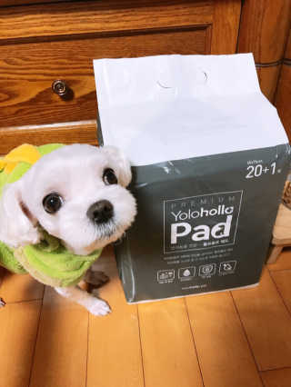 채꽃신님이 올린 리뷰 사진 1