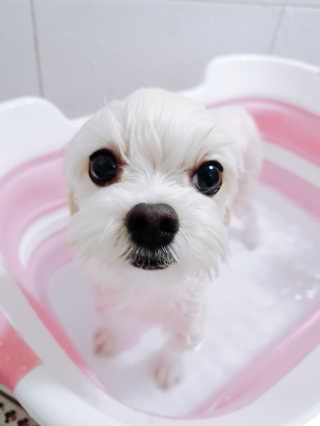 youngran님이 올린 리뷰 사진 1
