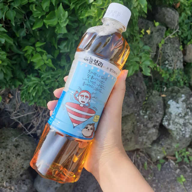 19년 하늘보리 열두보리 스페셜 에디션 리뷰 사진