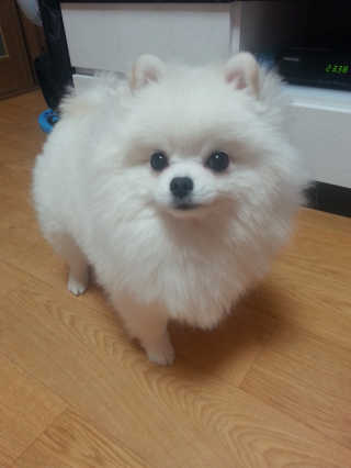 블리블리님이 올린 리뷰 사진 3