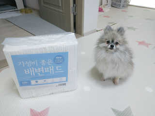 보람님이 올린 리뷰 사진 1