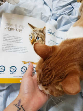 신예지님이 올린 리뷰 사진 3