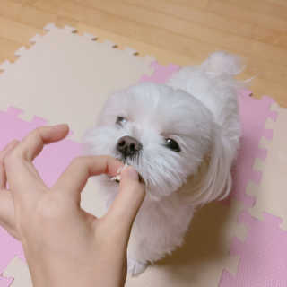 톨님이 올린 리뷰 사진 1