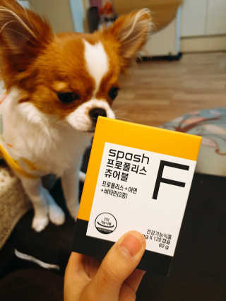 꼬몽쓰님이 올린 리뷰 사진 2