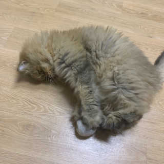 쏘e님이 올린 리뷰 사진 1