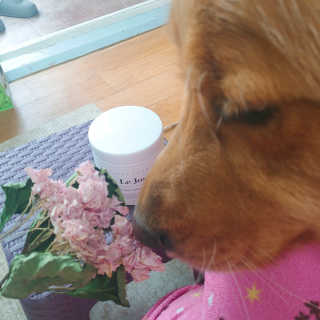 아보카도올리브님이 올린 리뷰 사진 1