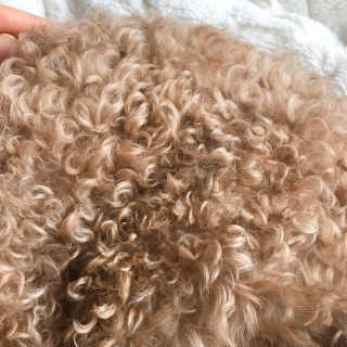 복깨비님이 올린 리뷰 사진 2