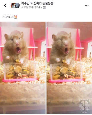 ducko님이 올린 리뷰 사진 1
