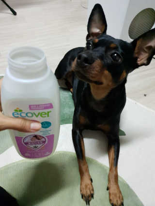 혜이유님이 올린 리뷰 사진 2