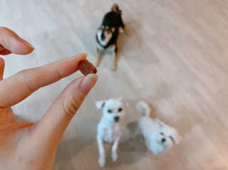 꾸딩님이 올린 리뷰 사진 4