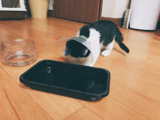 cola님이 올린 리뷰 사진 1