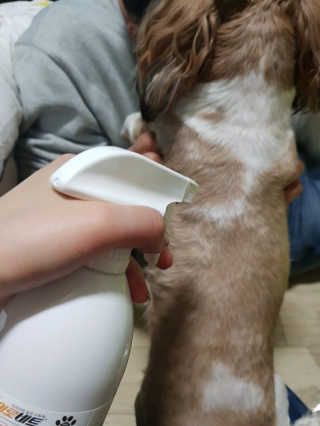 백선영님이 올린 리뷰 사진 1
