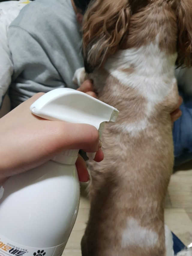 바이로비트 반려동물용 살균소독제 리뷰 사진