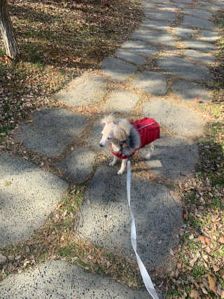 leah님이 올린 리뷰 사진 3