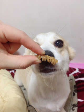 빙우현님이 올린 리뷰 사진 2