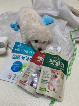 [빙그레] 에버그로 생유산균 1봉（10포입）+펫밀크2팩 — 4점을 준 리뷰어가 2019년 3월 올린 사용 사진
