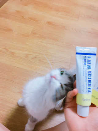 이슬님이 올린 리뷰 사진 3