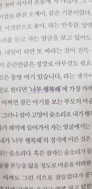 오단비님이 올린 리뷰 사진 2