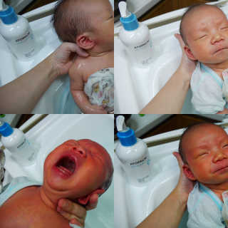 이보현님이 올린 리뷰 사진 3