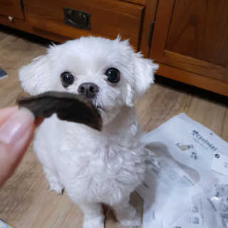 영히님이 올린 리뷰 사진 1