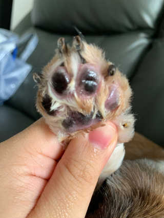 부엉새댁님이 올린 리뷰 사진 1