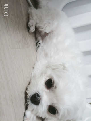 Lauren님이 올린 리뷰 사진 3
