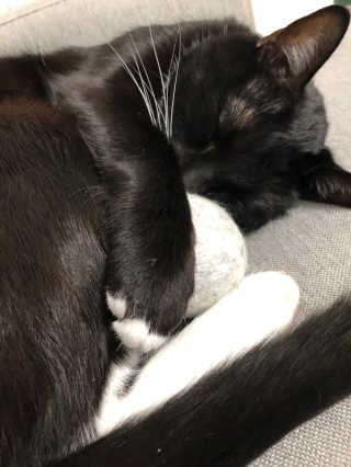 하후니네님이 올린 리뷰 사진 3