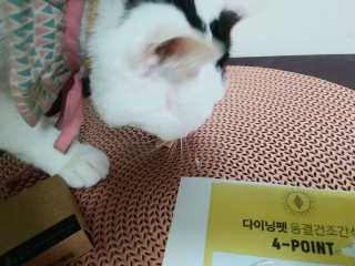 SeulonPark님이 올린 리뷰 사진 3