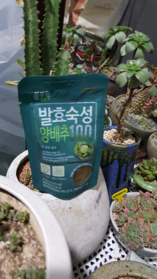 BoksoonJin님이 올린 리뷰 사진 1