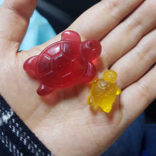 shashaemo님이 올린 리뷰 사진 2
