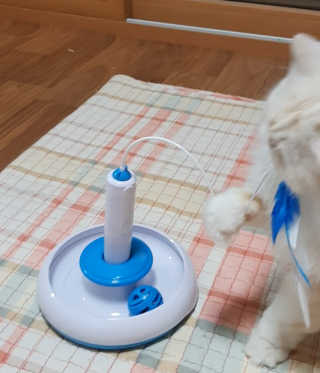 켈리심님이 올린 리뷰 사진 4
