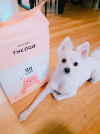 YouReena님이 올린 리뷰 사진 1