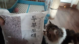 수선화님이 올린 리뷰 사진 1