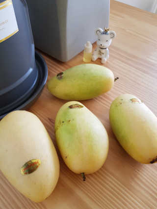쭈니님이 올린 리뷰 사진 2