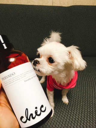 쮸동비님이 올린 리뷰 사진 1