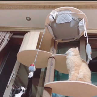 나르미르님이 올린 리뷰 사진 2