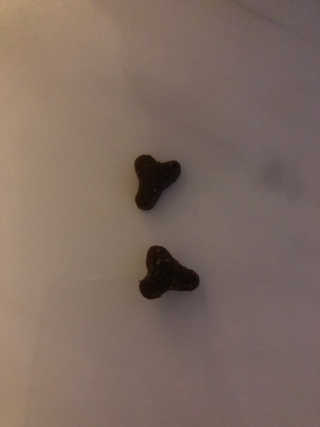 백블랙님이 올린 리뷰 사진 3