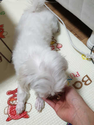 디지만경님이 올린 리뷰 사진 3
