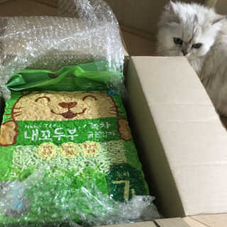 다조이님이 올린 리뷰 사진 1