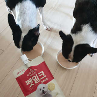 [빙그레] 에버그로 생유산균 1봉（10포입）+펫밀크2팩 — 4점을 준 리뷰어가 2019년 5월 올린 사용 사진
